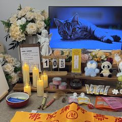 宠物家长客户见证